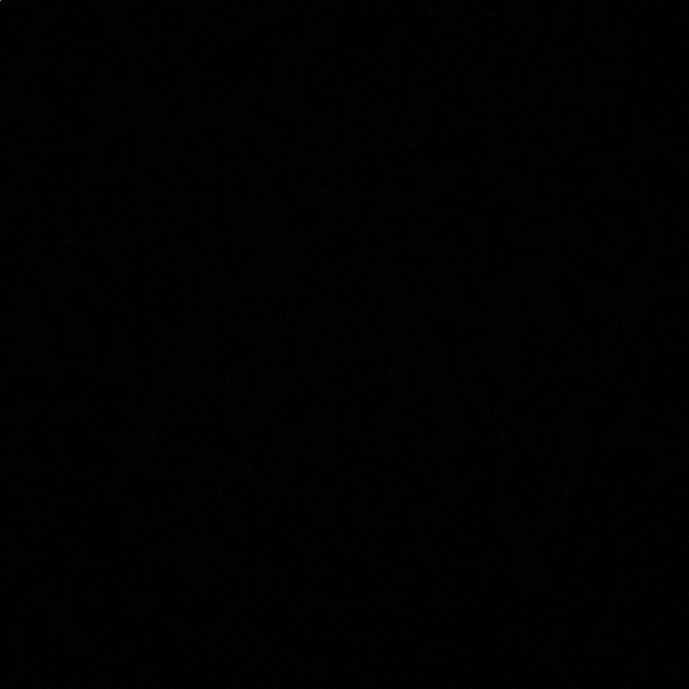 Meet your Posher, Kyra